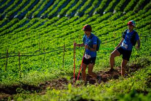 BIB: 
                            <button type="button" onclick="openModal(19160511)" class="btn btn-primary btn-sm float-right btn-popup" data-toggle="modal" data-target=".modal-high-quality">
                        <i class="fas fa-shopping-cart"></i> Add to Cart
                    </button>
                                            <button type="button" onclick="isThisMe(19160511, true)" class="btn btn-success btn-sm float-right btn-popup btn-isme hidden" data-toggle="tooltip" data-placement="bottom" title="นี่คือรูปของคุณใช่ไหม คลิกที่นี่เพื่อเอาเข้าอัลบั้ม">
                        <i class="fas fa-plus"></i> Add to album
                    </button>
                    <button type="button" onclick="isThisMe(19160511, false)" class="btn btn-warning btn-sm float-right btn-popup btn-isnotme hidden">
                        <i class="fas fa-ban"></i> Remove from album
                    </button>